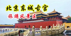 女b爆操中国北京-东城古宫旅游风景区